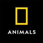nat geo animals