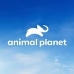 animal planet