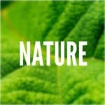 nature logo
